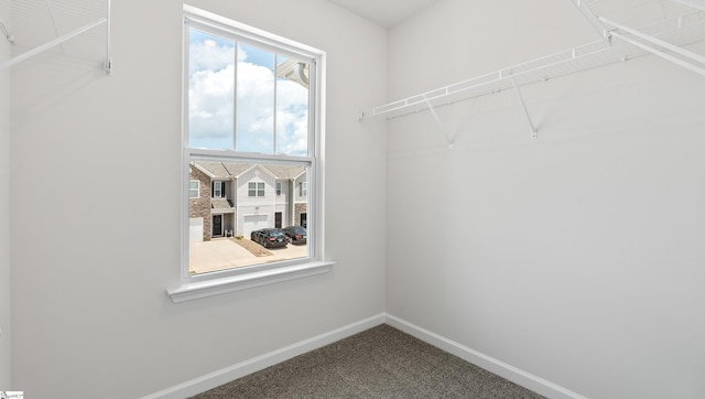 108 Sunriff Ct, Greer, SC 29651 - walk in closet with carpet