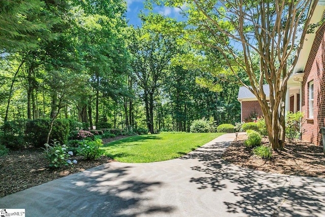 exterior space with a lawn