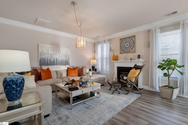 living room with ornamental molding, wood finished floors, and a healthy amount of sunlight