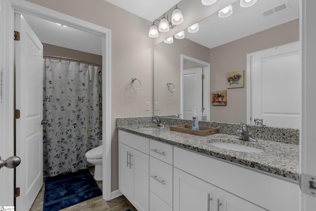 full bath featuring toilet, double vanity, visible vents, and a sink