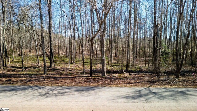 0000 Broken Arrow Dr Lot 5, Pelzer, SC 29669