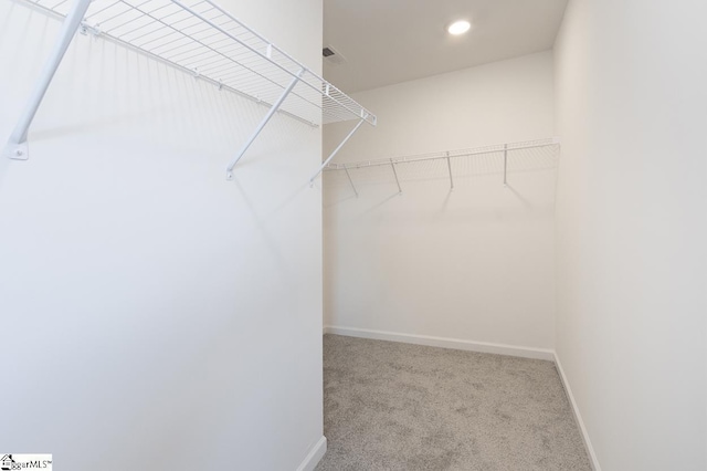 walk in closet with light colored carpet