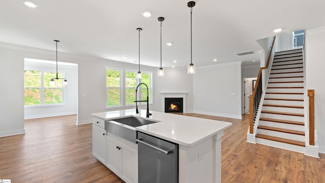 400 Fiery Rd Lot 0173, Mauldin, SC 29607 - kitchen featuring stainless steel dishwasher, a sink, open floor plan, plenty of natural light, and ornamental molding