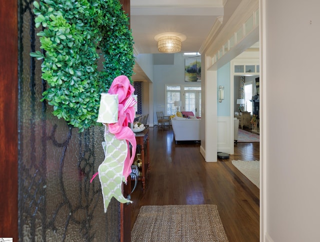 hallway featuring dark wood-style floors, crown molding, and wainscoting