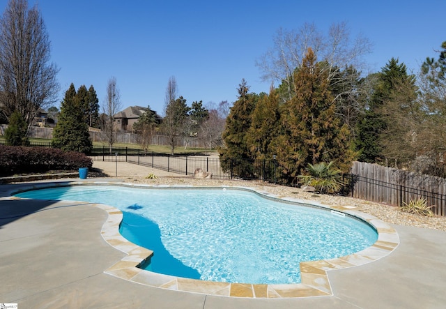 view of pool with a patio area, a fenced backyard, and a fenced in pool