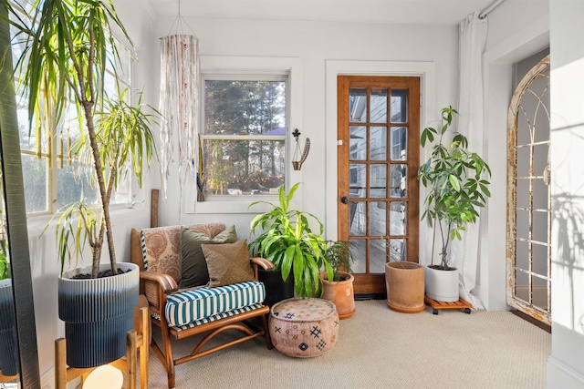 view of sunroom / solarium