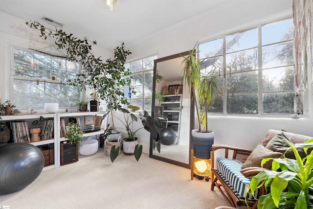 living area featuring carpet flooring and visible vents