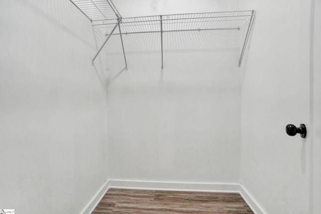 walk in closet featuring wood finished floors