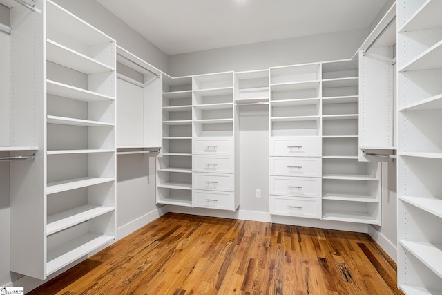 spacious closet featuring wood finished floors