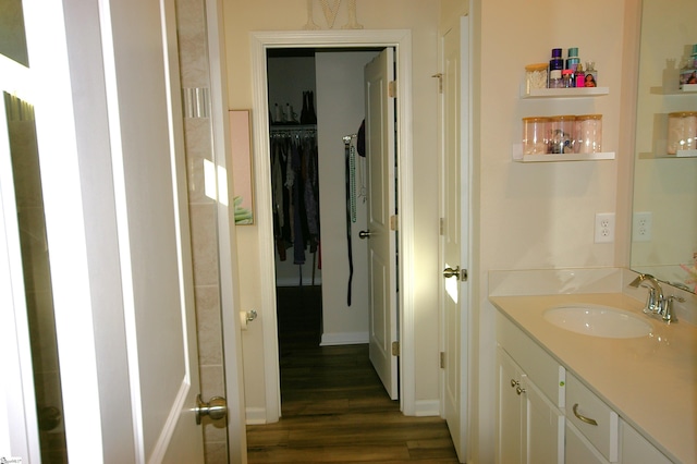 bathroom featuring wood finished floors and vanity