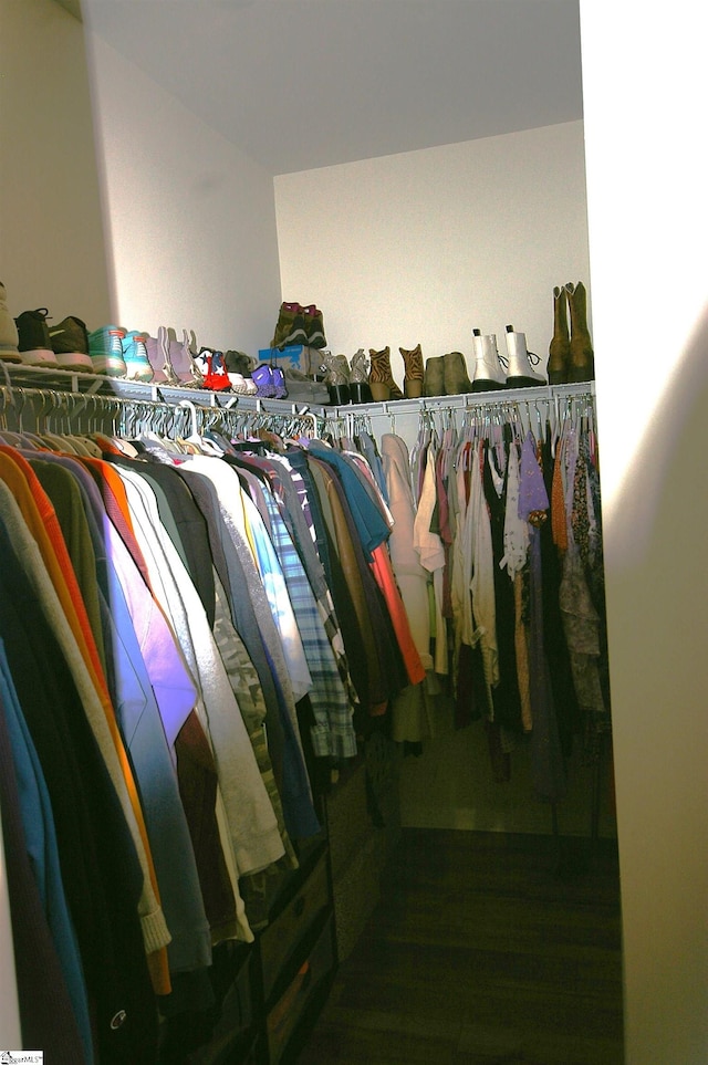 view of spacious closet