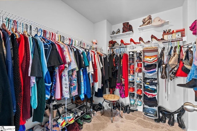 walk in closet with carpet flooring