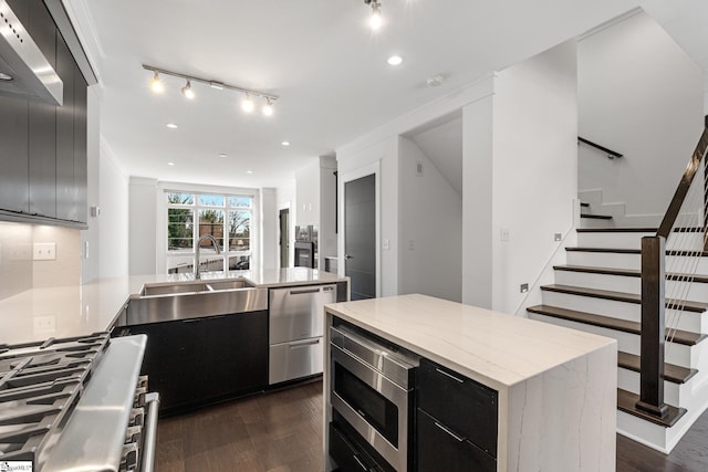 kitchen with dark wood-style floors, appliances with stainless steel finishes, a sink, and dark cabinets