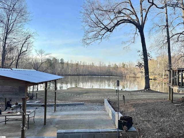 dock area with a water view