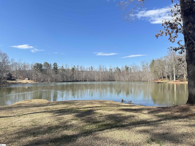 property view of water featuring a forest view