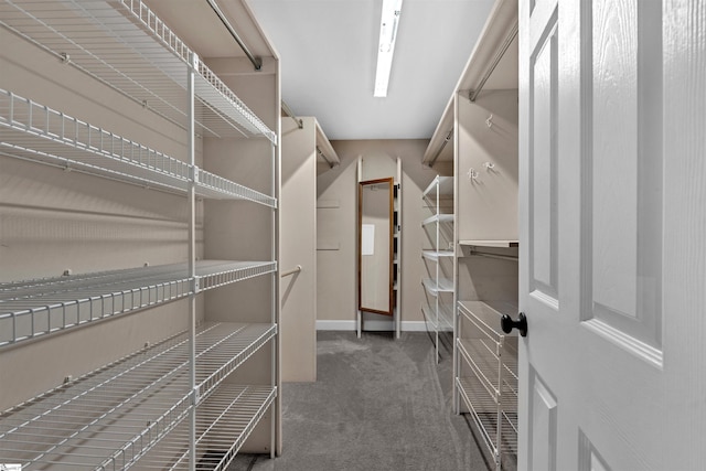 walk in closet featuring carpet flooring