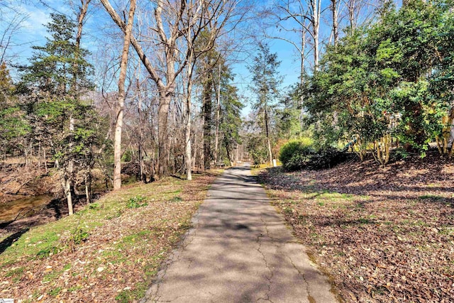 view of street with a wooded view