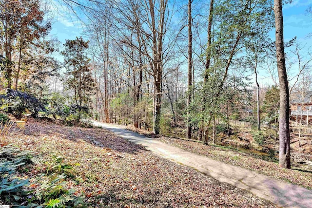 view of street with a view of trees