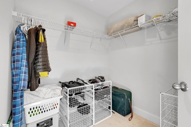 walk in closet with carpet floors