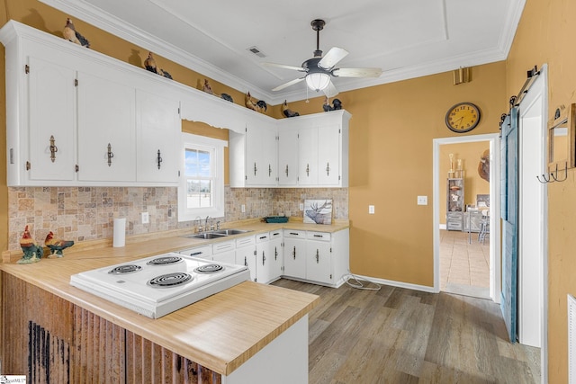 4101 Abbeville Hwy, Anderson, SC 29624 - kitchen with crown molding, backsplash, a barn door, a sink, and stovetop