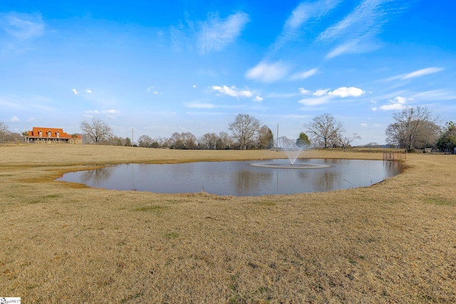 4101 Abbeville Hwy, Anderson, SC 29624 - view of water feature