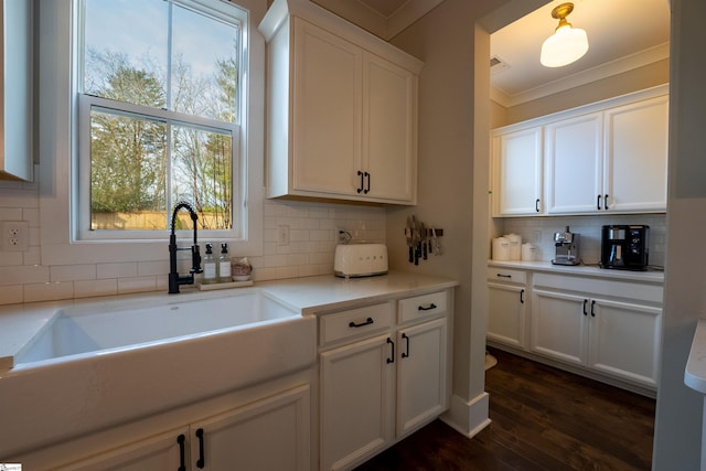 kitchen featuring tasteful backsplash, dark wood-style floors, crown molding, white cabinetry, and a sink