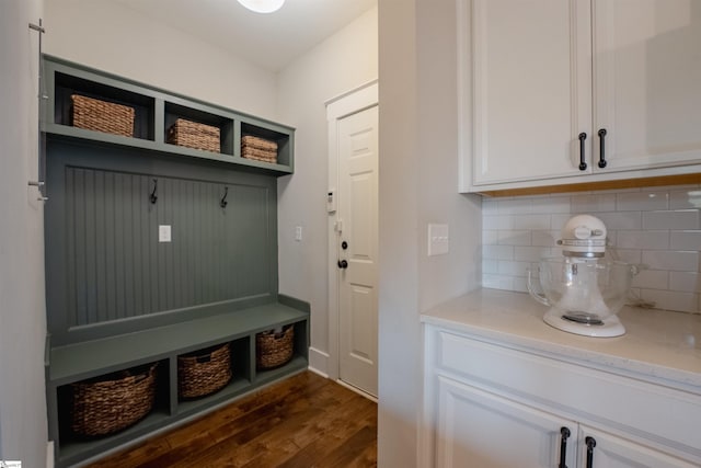 mudroom featuring dark wood-type flooring