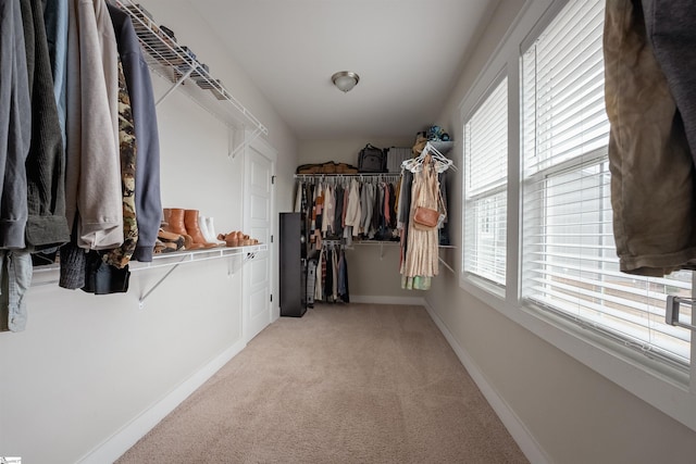 walk in closet with light carpet