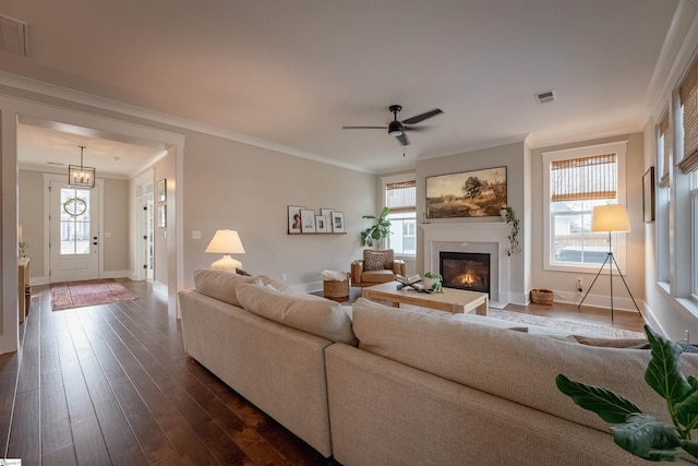 living room featuring a healthy amount of sunlight, visible vents, dark wood finished floors, and ornamental molding