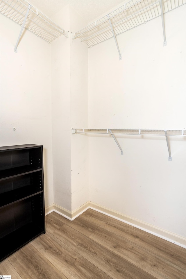 spacious closet featuring wood finished floors