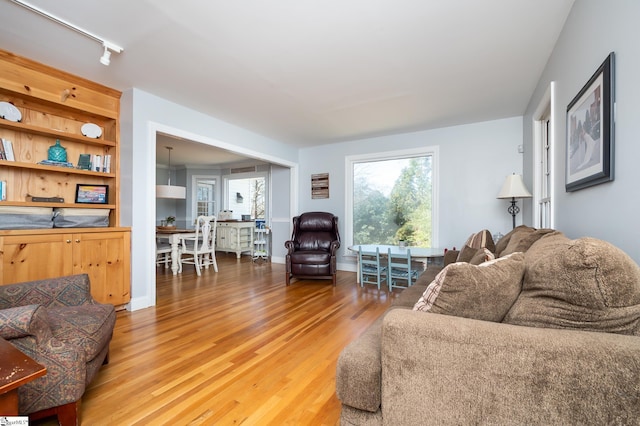 living room with light wood-type flooring, rail lighting, plenty of natural light, and baseboards