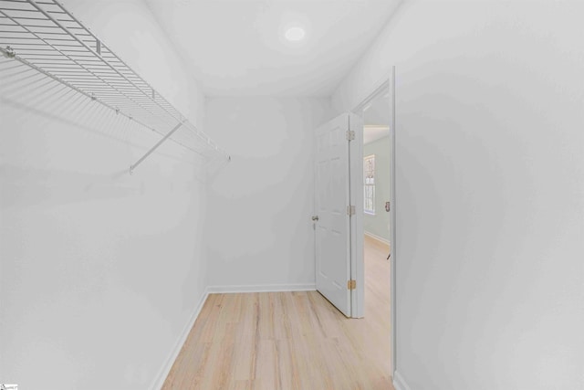 walk in closet featuring light wood-style flooring