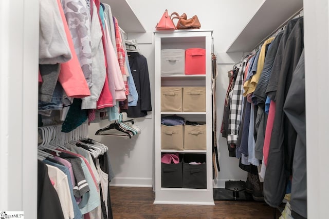 spacious closet featuring wood finished floors