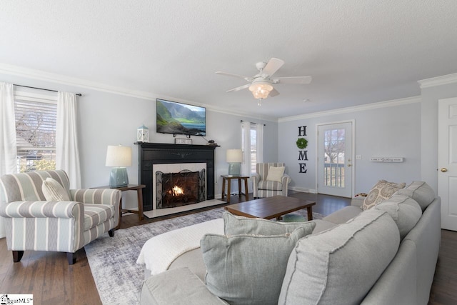 living area featuring dark wood-style floors, crown molding, ceiling fan, a textured ceiling, and a lit fireplace