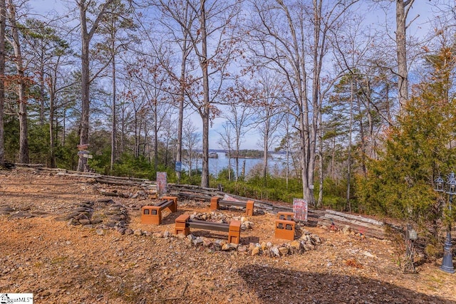 view of yard featuring a water view