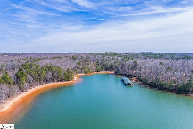 birds eye view of property with a water view and a wooded view