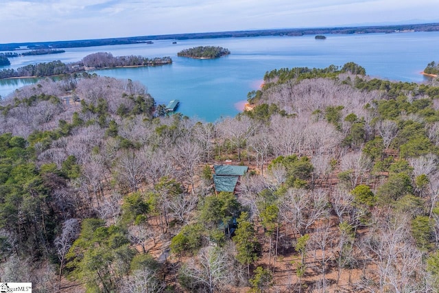 birds eye view of property with a water view and a wooded view