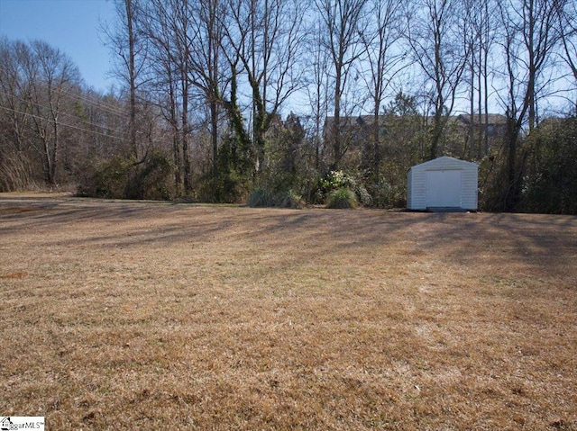 view of yard with an outbuilding and a storage unit