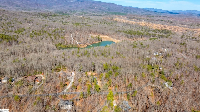 drone / aerial view featuring a water and mountain view