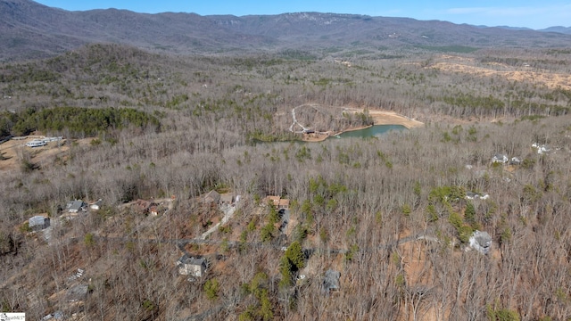 birds eye view of property featuring a water and mountain view