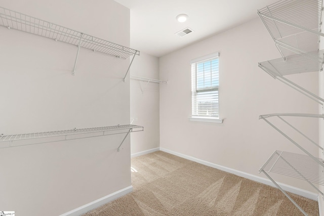 spacious closet with visible vents and light carpet