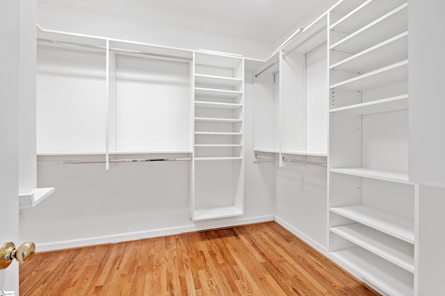 spacious closet featuring light wood-style flooring