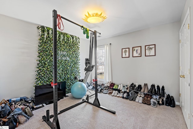 workout area featuring carpet floors