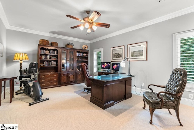 1212 Stillwater Dr, Seneca, SC 29678 - office area featuring light carpet, plenty of natural light, and crown molding