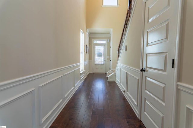 doorway featuring a wainscoted wall, a decorative wall, and dark wood-style flooring