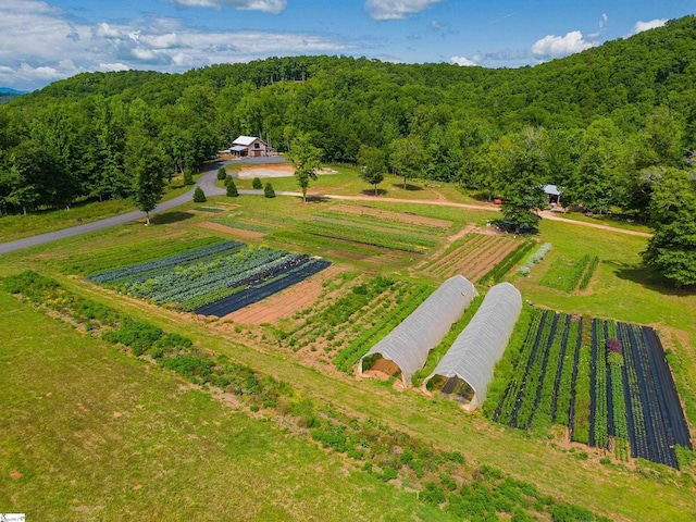 birds eye view of property featuring a wooded view and a rural view