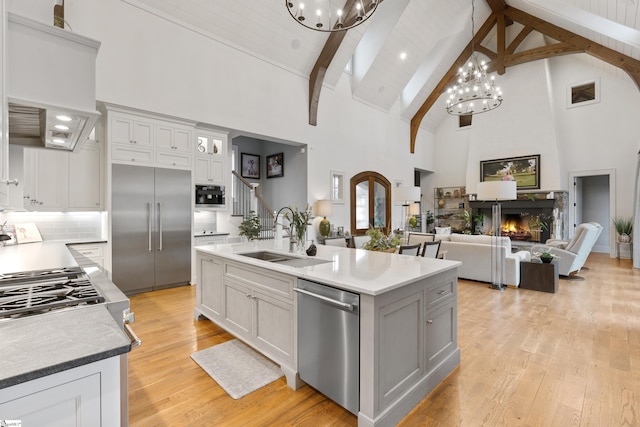 kitchen featuring light wood-style flooring, a lit fireplace, stainless steel appliances, a chandelier, and a sink