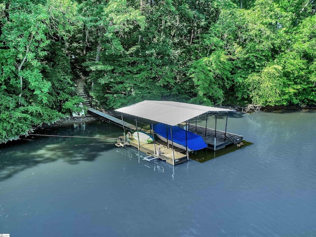 dock area with a water view