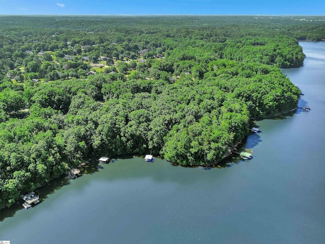 birds eye view of property with a water view and a view of trees