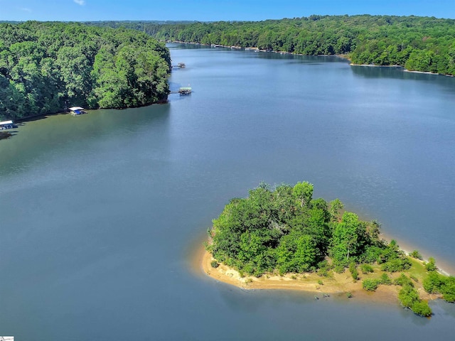 drone / aerial view featuring a water view and a view of trees